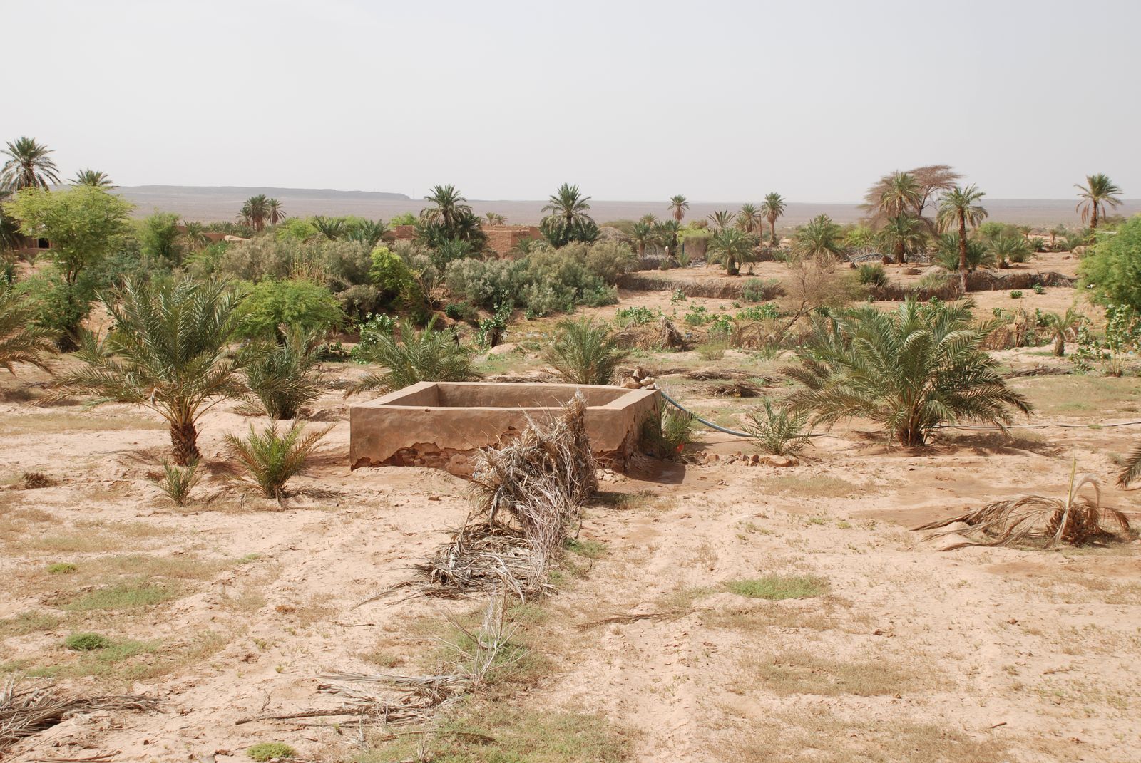 Adrar